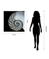 Empire Art Direct Pearly Nautilus Frameless Free Floating Tempered Glass Panel Graphic Wall Art, 36" x 36" x 0.2"