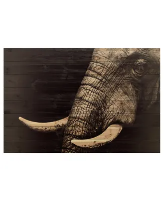 Empire Art Direct Elephant Arte de Legno Digital Print on Solid Wood Wall Art, 30" x 45" x 1.5"