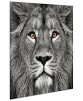 Empire Art Direct King of the Jungle Lion Eye of the Tiger Frameless Free Floating Tempered Glass Panel Graphic Wall Art, 38" x 38" x 0.2"