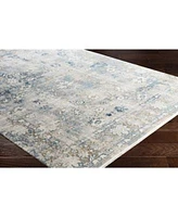 Surya Solar Sor 2307 Mist Rug
