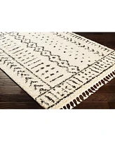 Livabliss Berber Shag Bbe-2311 Charcoal 3'11" x 5'7" Area Rug