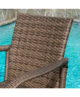 Noble House Delfina Outdoor Barstool, Set of 2