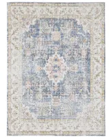 Amer Rugs Century Cen-18 Indigo 7'10" x 10'6" Area Rug