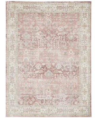 Amer Rugs Century Cen-8 Salmon 5'3" x 7'3" Area Rug