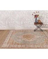 Amer Rugs Eternal Ete-3 Aqua/Ivory 7'6" x 9'6" Area Rug