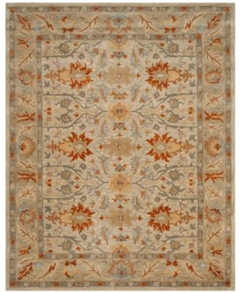 Safavieh Antiquity At63 Area Rug