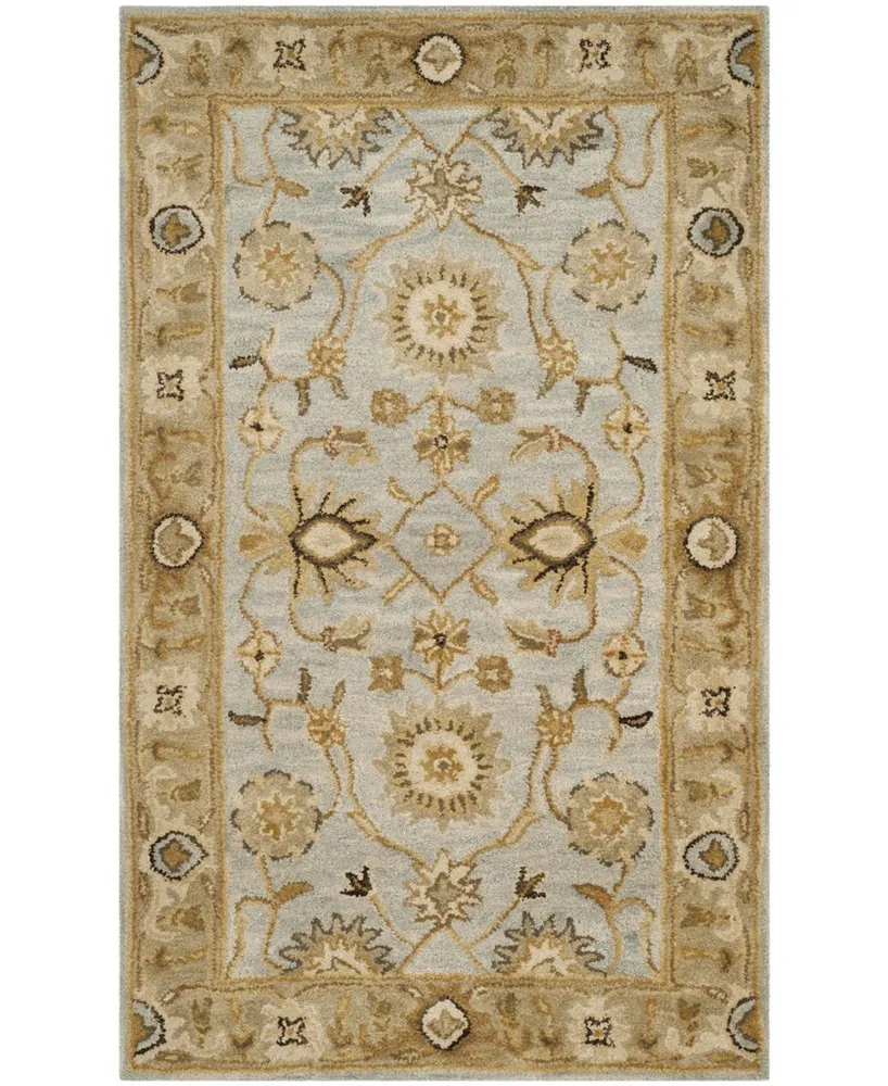 Safavieh Antiquity At856 Mist and Sage 3' x 5' Area Rug