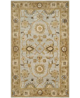 Safavieh Antiquity At856 Mist and Sage 3' x 5' Area Rug