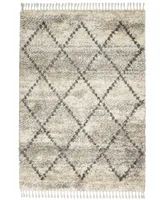 Nourison Home Oslo Shag OSL01 Ivory and Gray 4' x 6' Area Rug