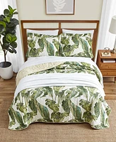 Tommy Bahama Home Fiesta Palms Cotton Reversible 3 Piece Quilt Set