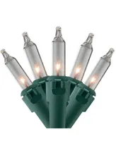 Northlight Clear Mini Christmas Lights