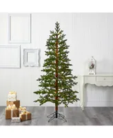 Nearly Natural Fairbanks Fir Artificial Christmas Tree with 250 Clear Warm Multifunction Led Lights and 208 Bendable Branches