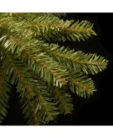 National Tree 4' Dunhill Fir Tree with Clear 200 Lights