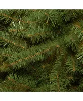 National Tree 6' Kincaid Spruce Tree