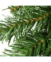 National Tree Company 9' x 10" Kincaid Spruce Garland