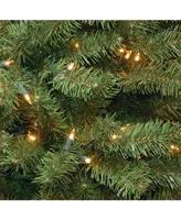 National Tree 6.5' North Valley Spruce Pencil Slim Tree with Clear Lights