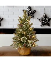 National Tree Company 2' Glittery Bristle Pine Burlap Tree with Warm White Battery Operated Led Lights