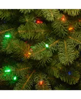 National Tree 6.5' Feel Real Downswept Douglas Fir Pencil Slim Tree with Dual Color Lights