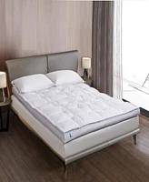 Martha Stewart 3'' White Down Top Featherbed