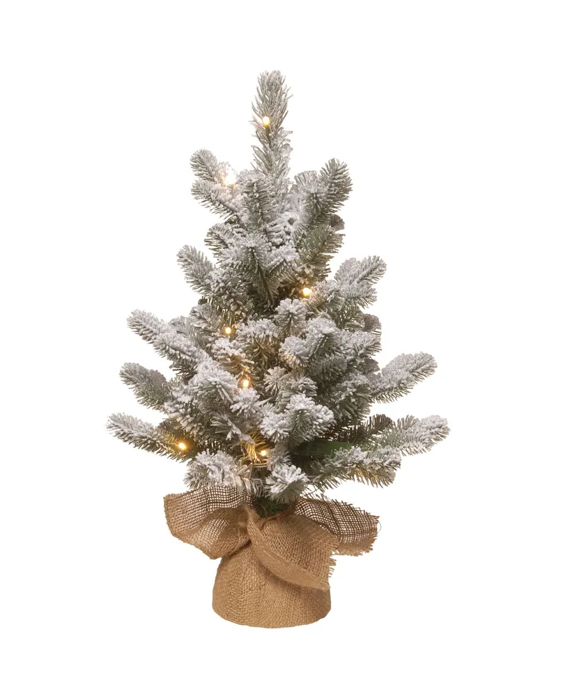 National Tree Company 2' Snowy Sheffield Spruce Tree with Battery Operated Lights