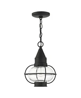 Newburyport 1 Light Outdoor Pendant Lantern