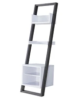 Dellmara Ladder Display Shelf