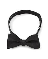 Star Wars Men's Darth Vader Paisley Bow Tie