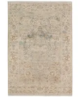 Amer Rugs Vintage Viioly 2' x 3' Area Rug