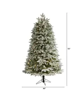 Flocked Colorado Mountain Fir Artificial Christmas Tree with Instant Connect Technology, 6'