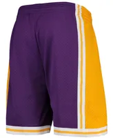 Men's Purple Los Angeles Lakers Hardwood Classics Team Swingman Shorts