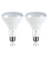 Smart BR30 Dimmable Light Bulb - Dimmable Color Changing Led, Set of 2