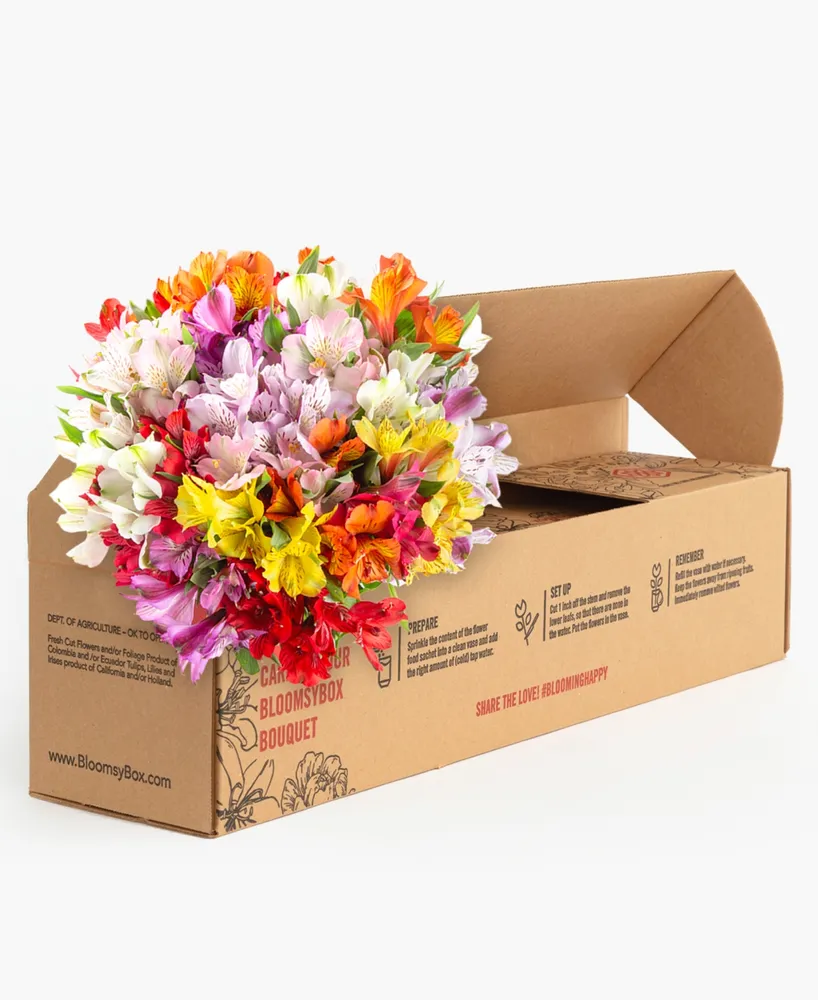 Bloomsybox Assorted Alstroemeria Fresh Flower Bouquet