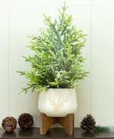 20" Artificial Frosted Christmas Tree in 6" Stag head Ceramic on Wood Stand - White, Green