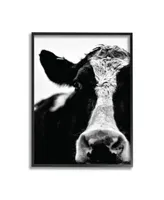 Stupell Industries Cow Black White Close Up Art Collection