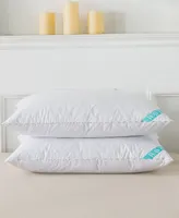 Waverly Down Blend Pillow