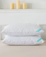 Waverly Down Blend Pillow Collection