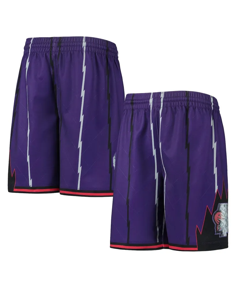 Toronto Raptors Mitchell & Ness Youth Hardwood Classics Swingman Shorts -  Purple