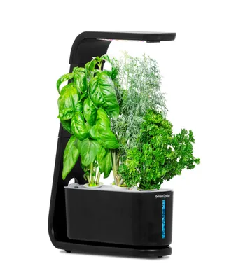 AeroGarden Sprout with Gourmet Herbs Seed Pod Kit - Hydroponic Indoor Garden