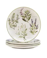 Certified International Fresh Herbs Dinner Plates, Set of 4