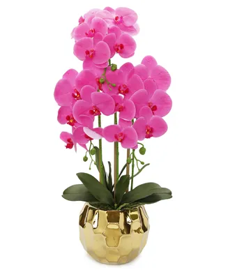 Orchid Plant in Round Hammered Vase - Gold