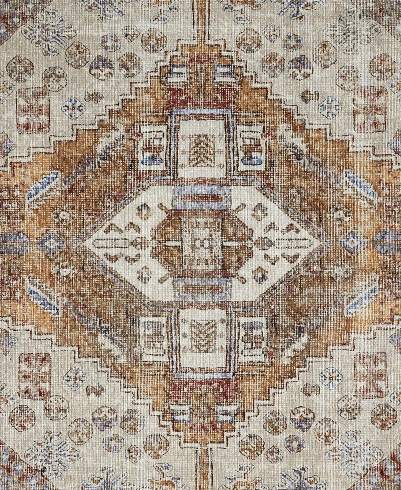 Feizy Percy R39AN 2' x 3' Area Rug