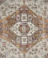 Feizy Percy R39AN 2' x 3' Area Rug