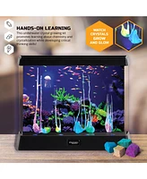 Discovery #Mindblown Crystal Aquarium Tank Diy Underwater Garden