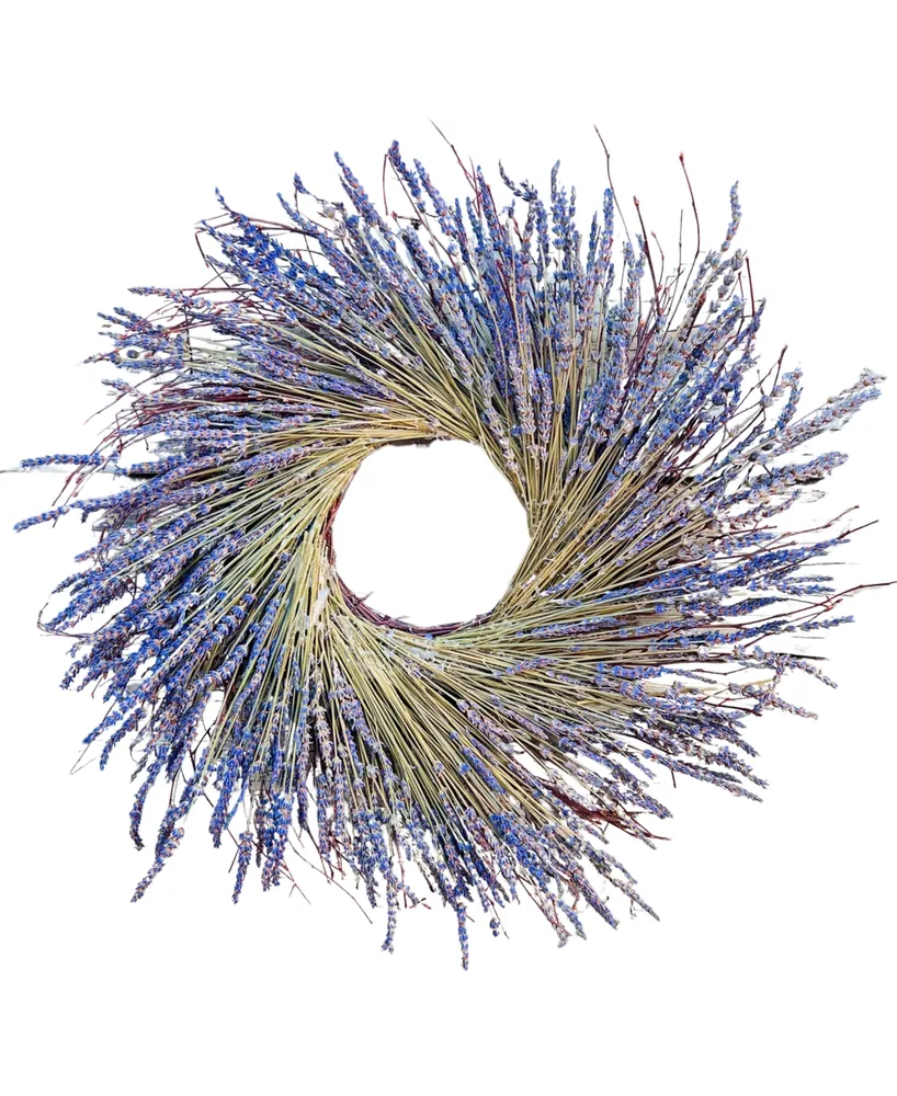 GreenishBlu Dried Lavender with Twing Base Fresh Spring Wreath, 20"