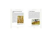 A Field Guide to Whisky: An Expert Compendium to Take Your Passion and Knowledge to the Next Level by Hans Offringa