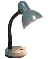Simple Designs Basic Desk Lamp with Flexible Hose Neck