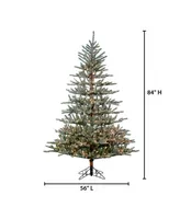 7' Flocked Scotch Pine with 450 Incandescent Lights