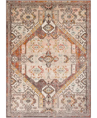 Livabliss Ankara Akr- 7'10" x 10'3" Area Rug