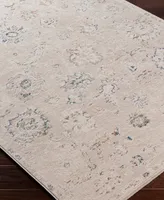 Surya Amore AMO2321 2' x 3' Area Rug