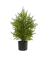 Norfolk Island Pine Natural Look Artificial Tree In Decorative Planter, 24"